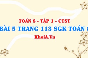Bài 5 trang 113 SGK Toán 8 Tập 1 Chân trời sáng tạo